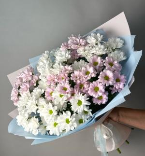 Букет из хризантем Праздничный день  на любое торжество