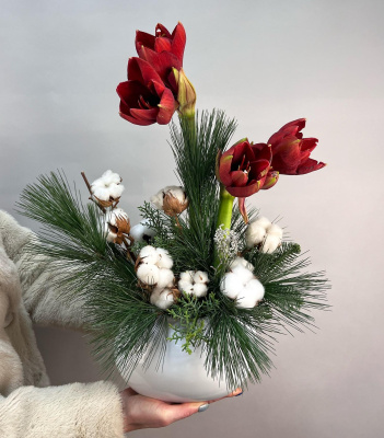 Елочная композиция с хлопком и амариллисом