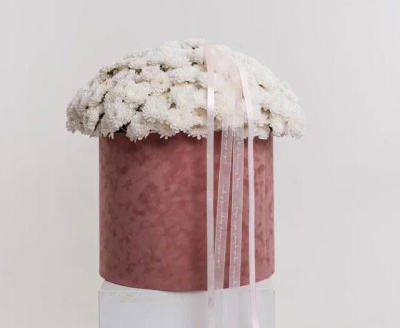 Подарочная коробка с белыми хризантемами (размер XXL)