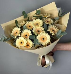 Букет кремовых гербер Пралине