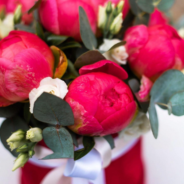 Композиции