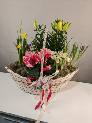 Корзинка первоцветов Ты моя весна Амелия