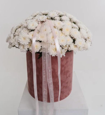 Подарочная коробка с белыми хризантемами (размер XL)