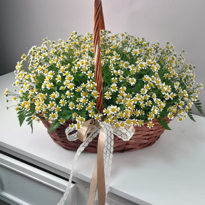 Корзина ромашек 