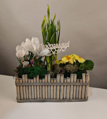 Кашпо с первоцветами Весеннее утро Амелия