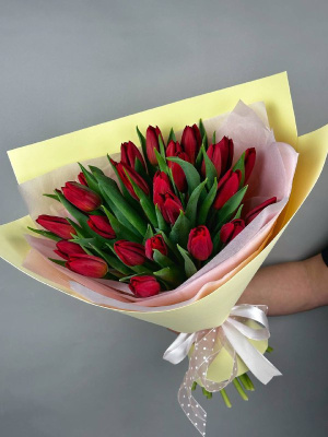 Букет 25 алых тюльпанов 